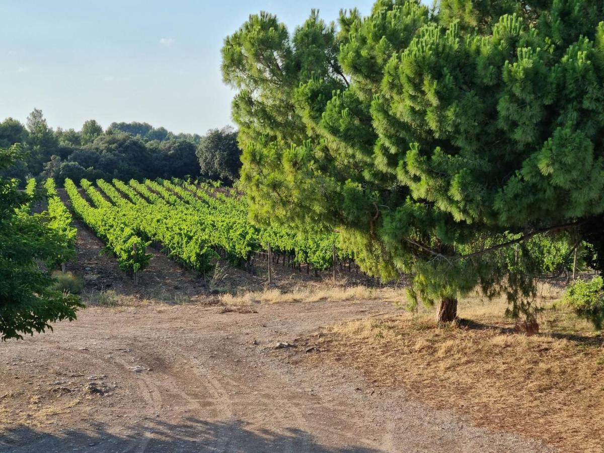 Gites De L'Estagnol Villeneuve-lès-Maguelonne Exterior photo